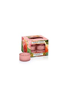 Yankee Candle Sun-Drenched Apricot Rose Pack Of 12 Tea Lights